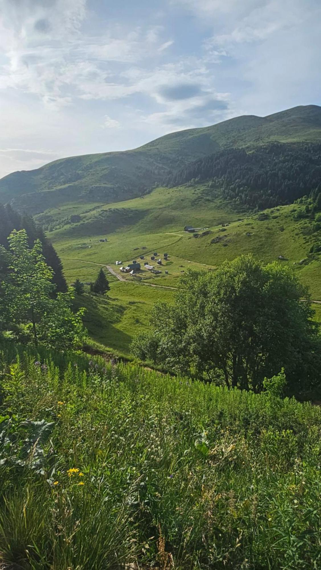 Kamp Janketic Guest House Kolasin Bagian luar foto